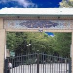 قتل یک دانشجو|وقتی “نبود مجازات قاطع” سارقان را جسور می‌کند!